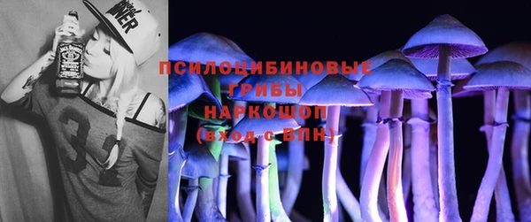 мдпв Верхний Тагил