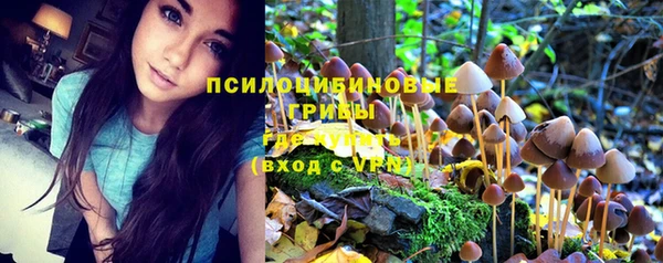 стафф Волоколамск
