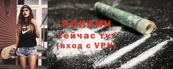 мдпв Верхний Тагил