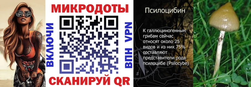 Галлюциногенные грибы GOLDEN TEACHER  Егорьевск 